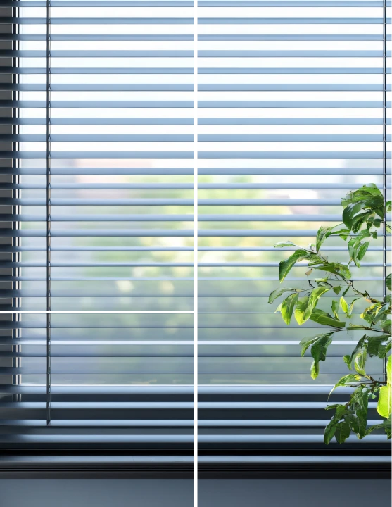 Заказать замер