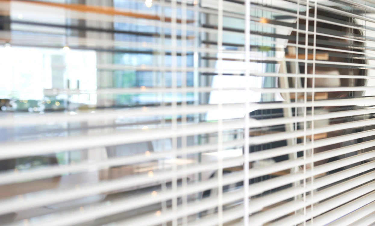 Дарим скидку до — 50% на все виды жалюзи